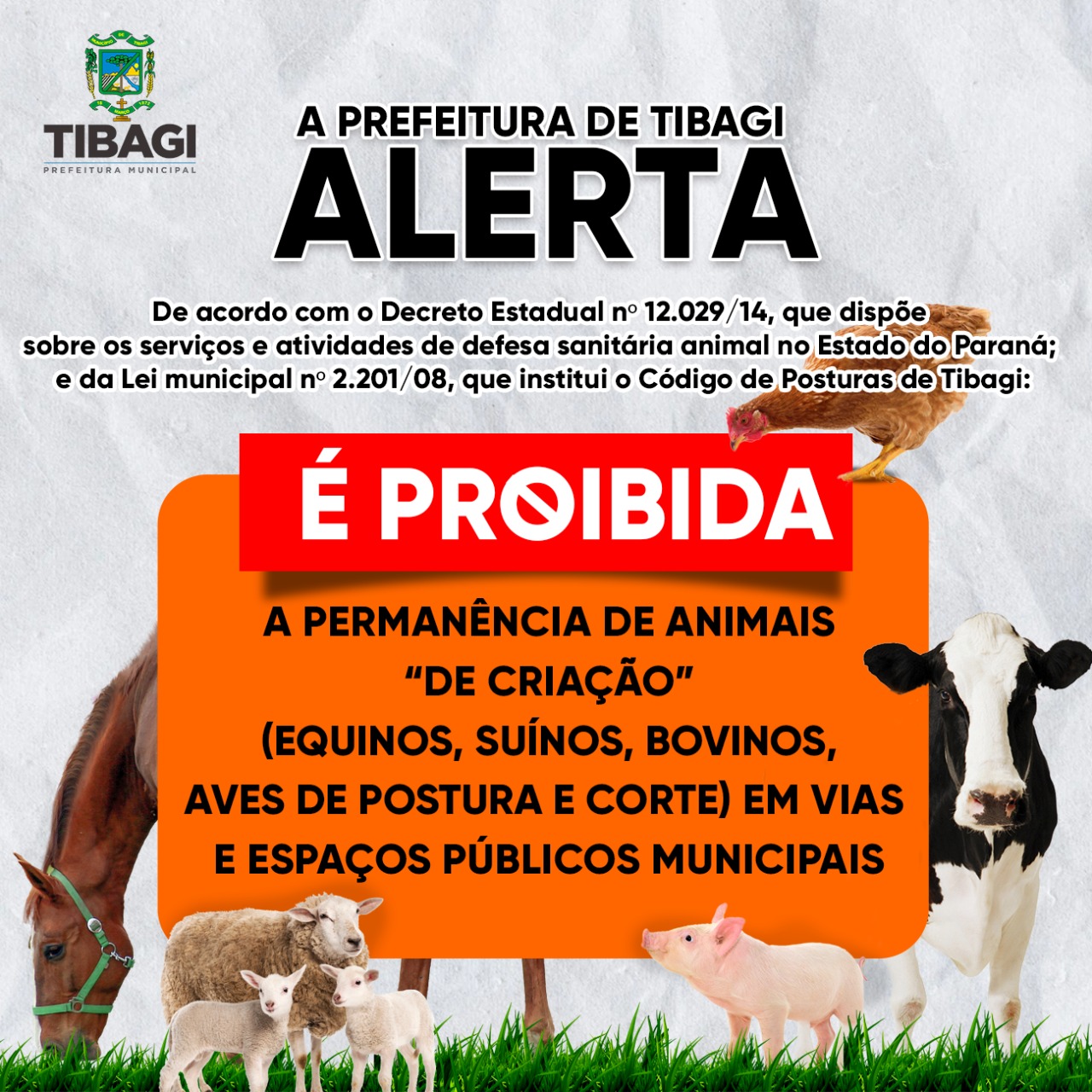 Agricultura de Tibagi orienta sobre a permanência de animais em vias públicas