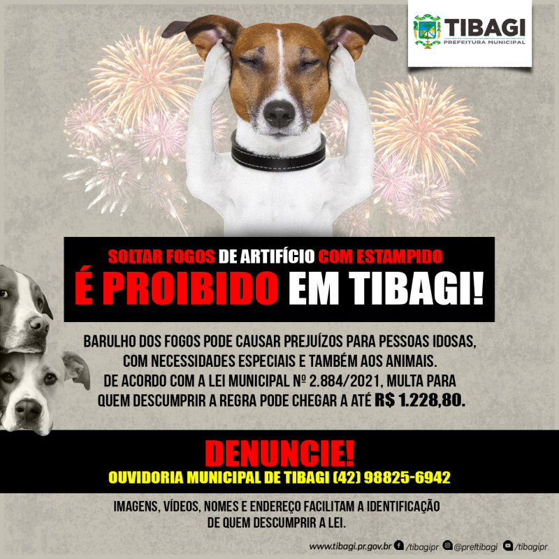 Fogos de artifício com estampido são proibidos em Tibagi