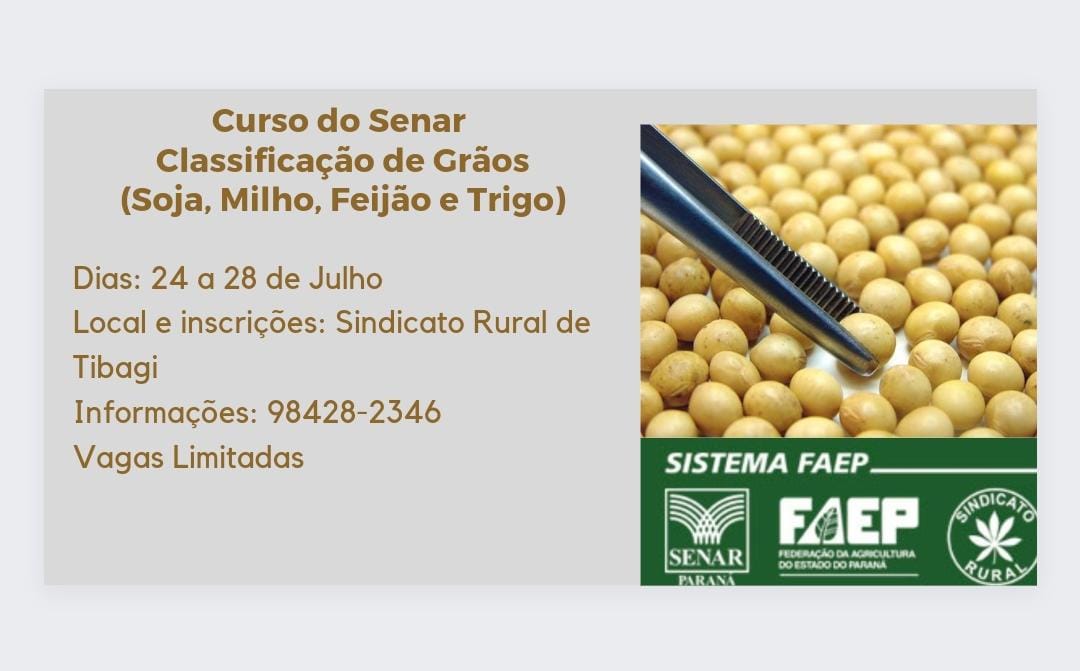 Sindicato Rural de Tibagi promove curso de classificação de grãos