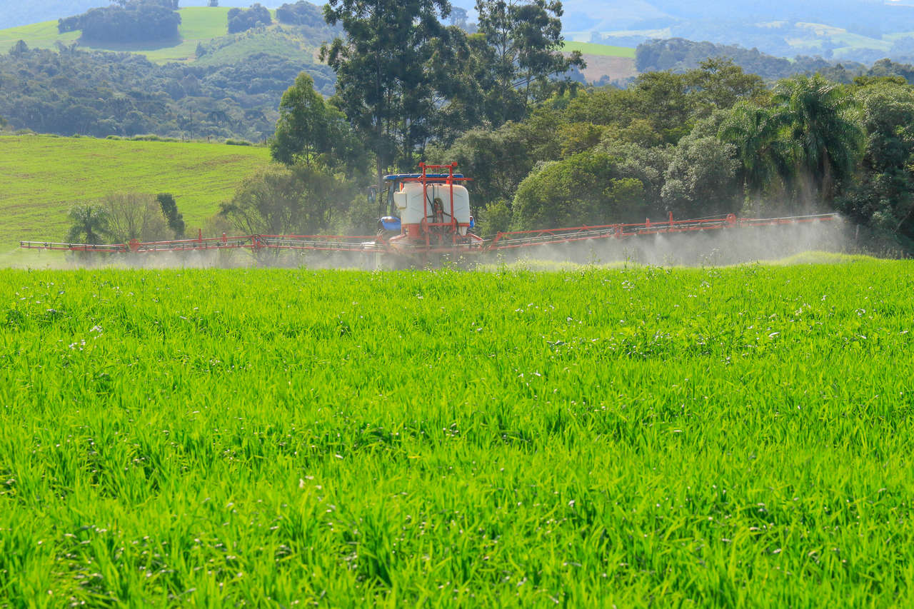 Produtores de Tibagi tem até o dia 29 de setembro para entregarem a declaração do ITR