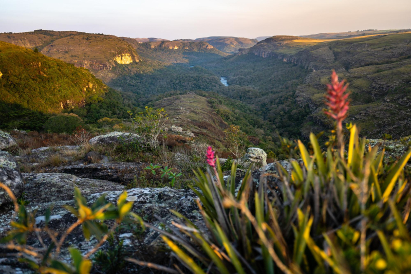 Com a melhora do clima, Parque Estadual do Guartelá reabre estruturas ao público.