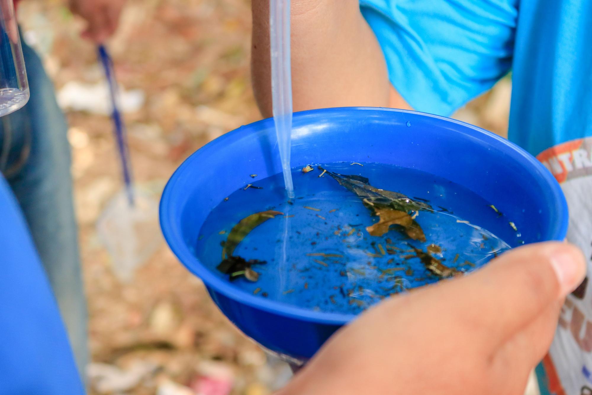 Saúde e Defesa Civil de Tibagi reforçam ações de combate à dengue